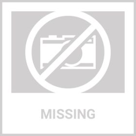 LEVITON 47A00-2 Wireless Quad Pet-Immune Motion Detector